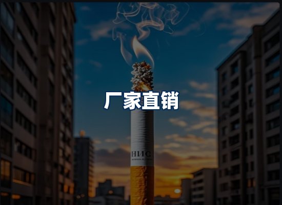 专业团队办公环境